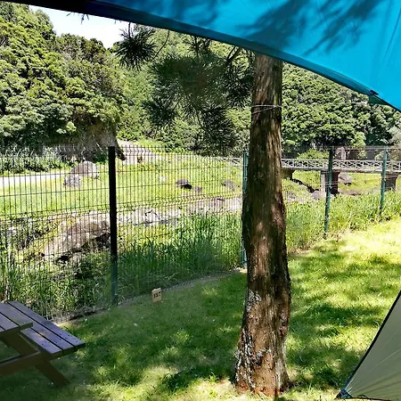 Parque De Campismo Da Feira Camping *